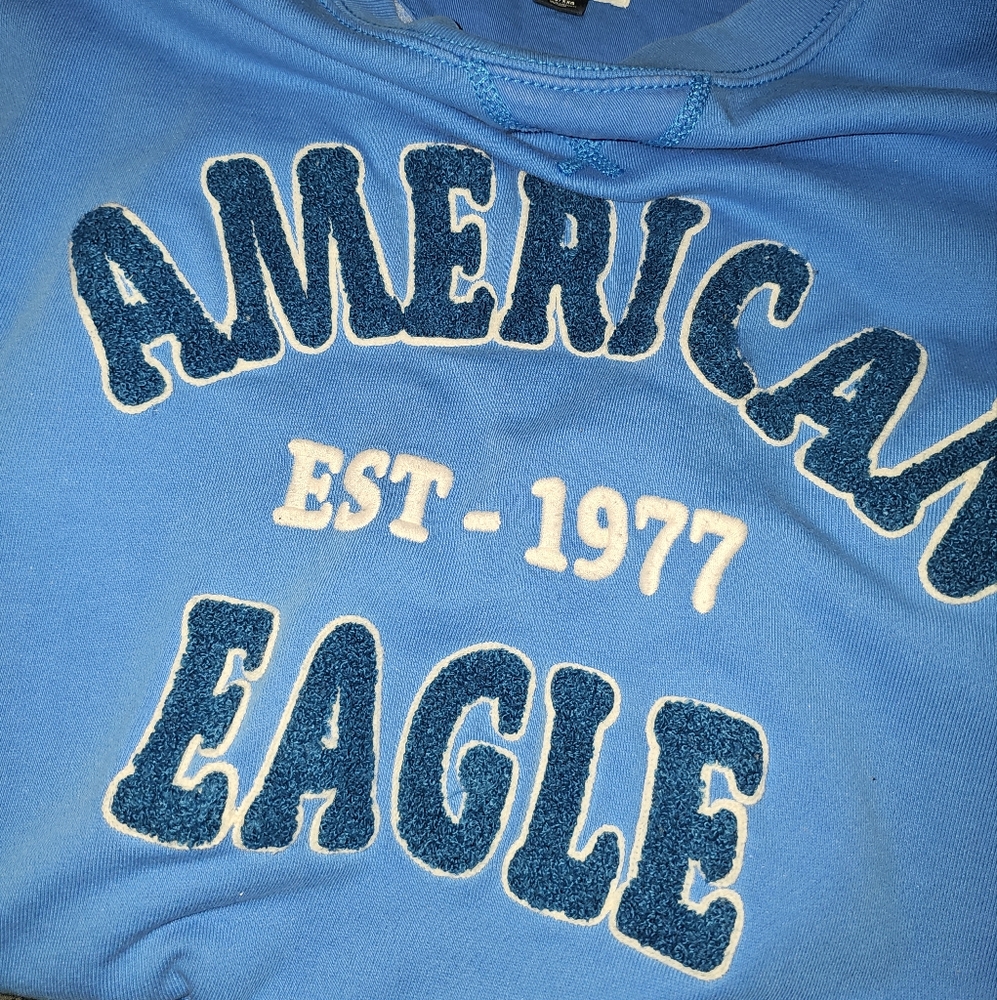 American Eagle Outfitters Sky Blue Crewneck XXL